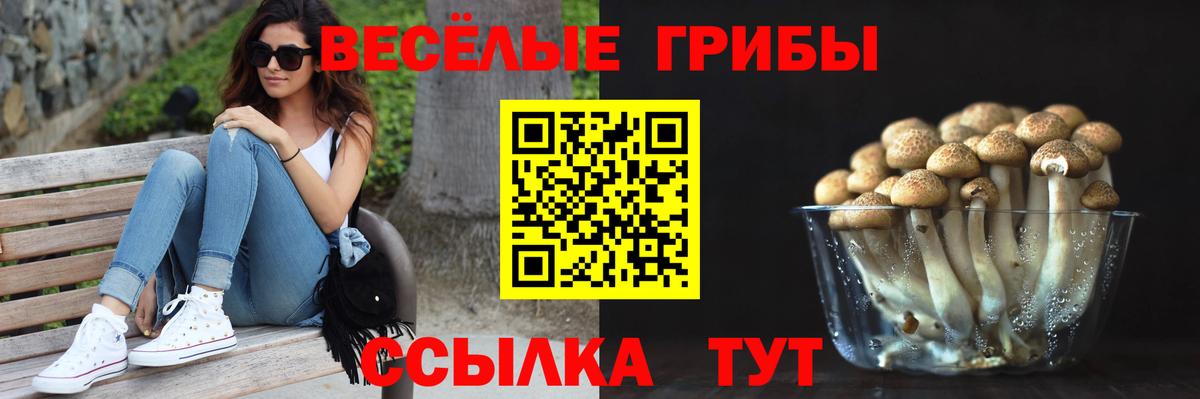 Галлюциногенные грибы MAGIC MUSHROOMS  Вход с VPN  Гурьевск  Галлюциногенные грибы мицелий 